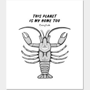 Crayfish - This Planet Is My Home Too - animal ink art - on white Posters and Art